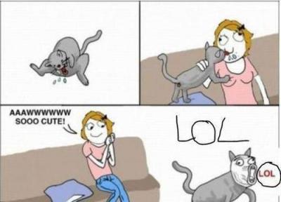 Прикрепленное изображение: IMG_2168.JPG